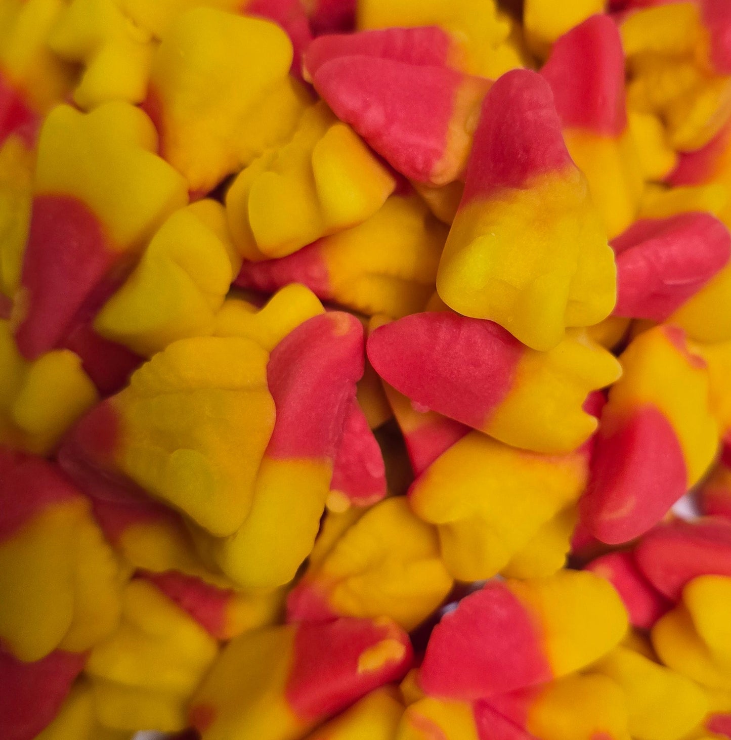 Patte de Poulet 100g