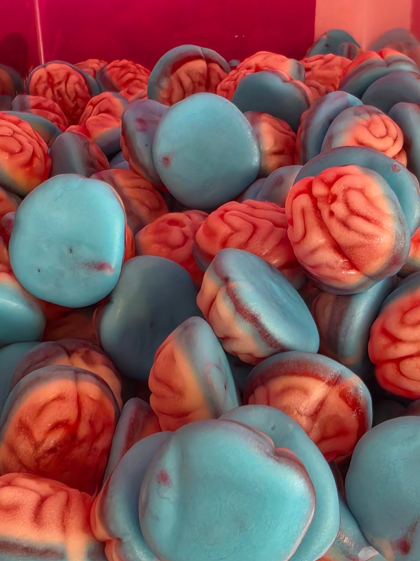 Cerveau Vidal 100g