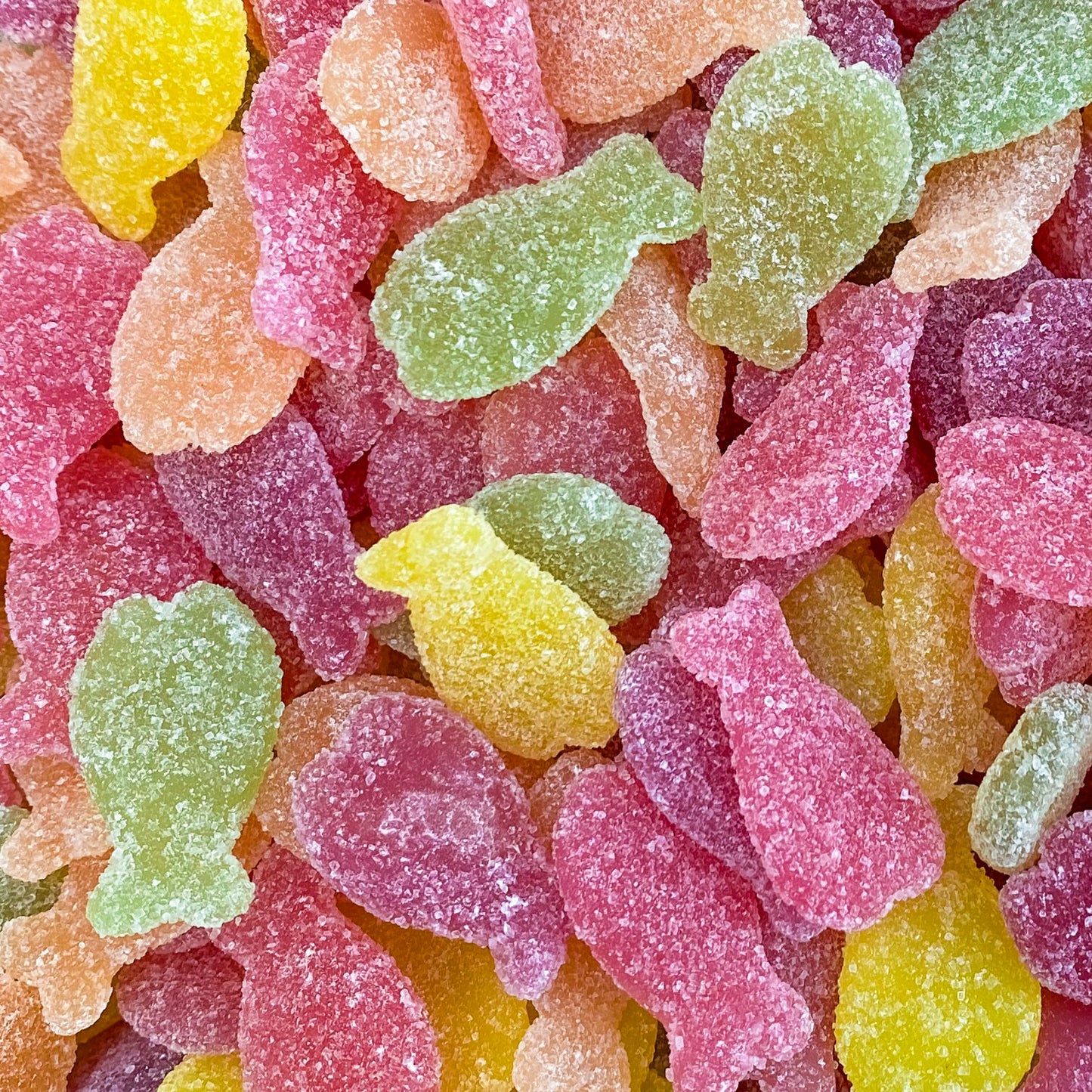 Poisson Tropical 100g