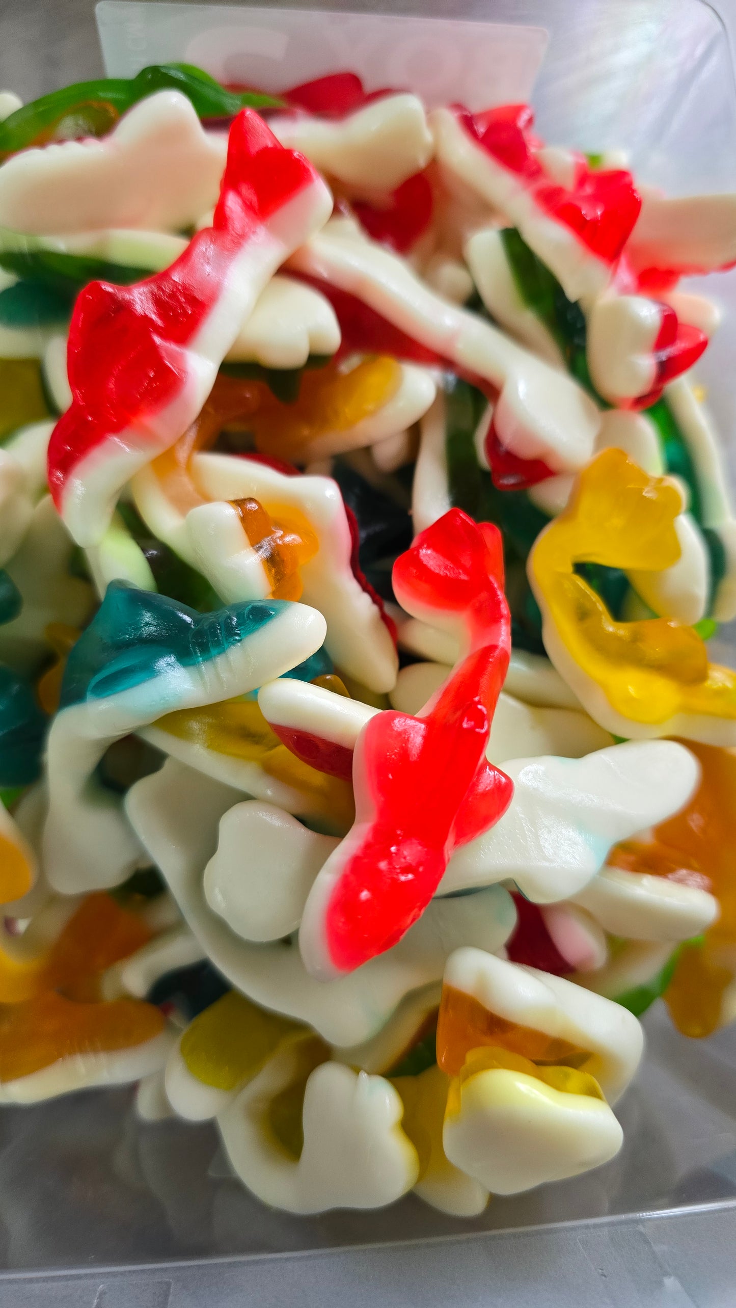 Requins lisses halal 100g