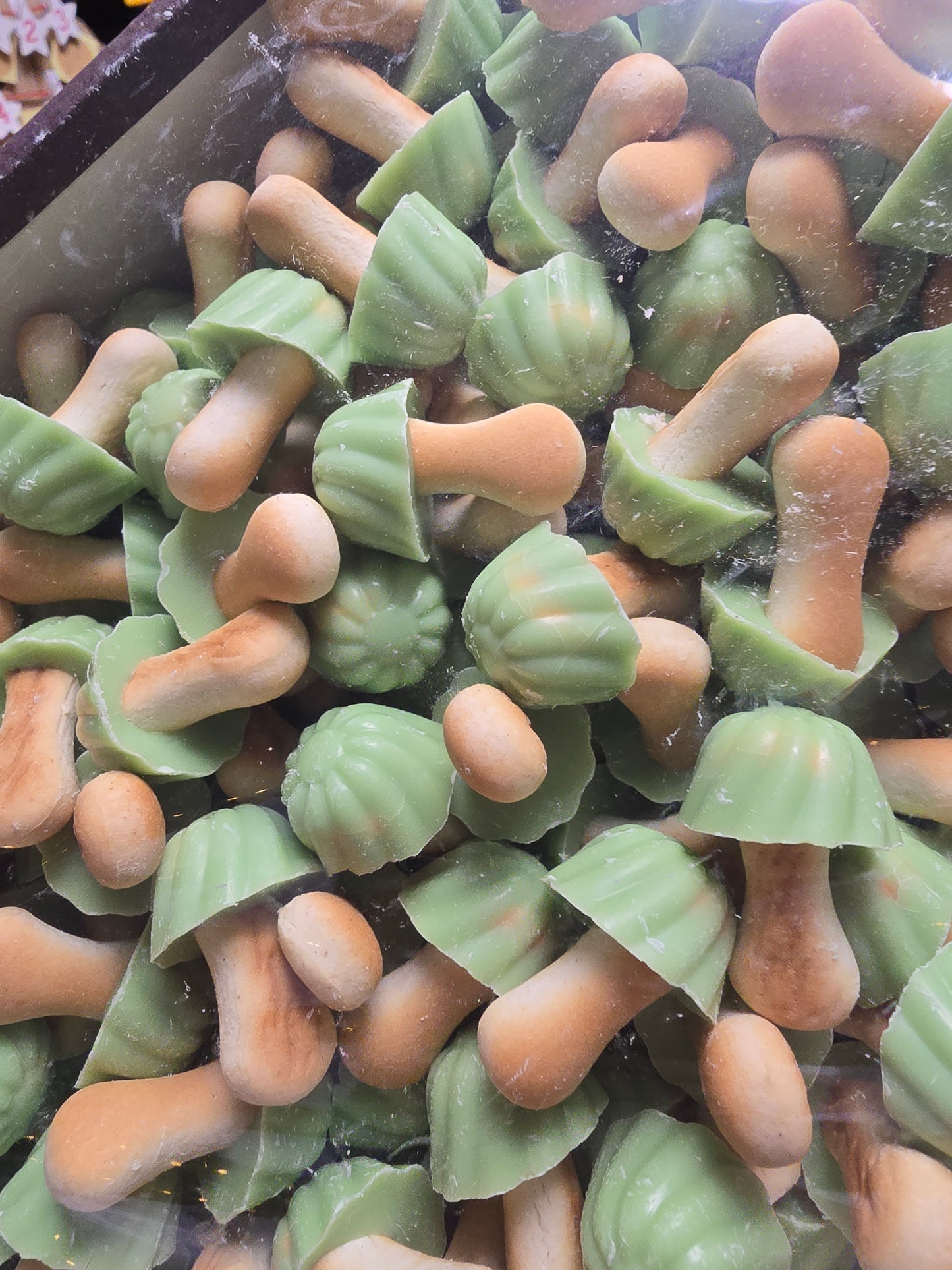 Biscuit champignon chocolat pistache 100g