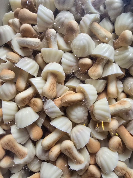 Biscuit champignon chocolat blanc 100g