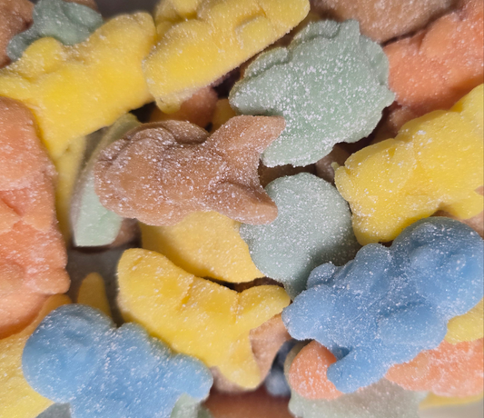 Pokemon Fizz Lutti 100g