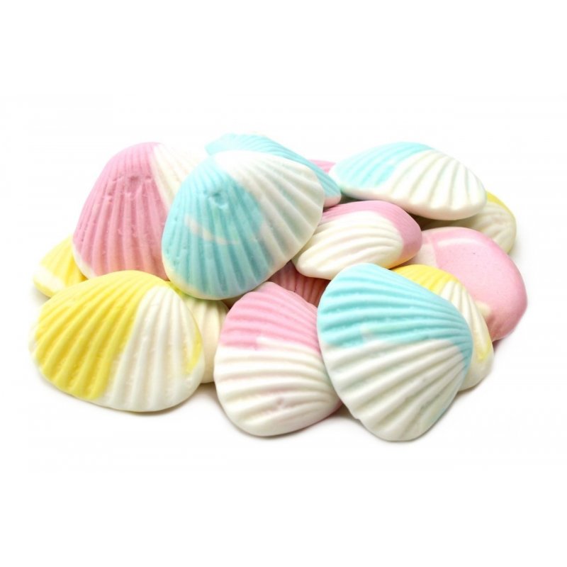 Coquillage 100g
